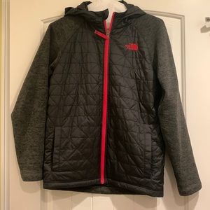 North Face hooded jacket “sweater” sleeves and quilted torso.